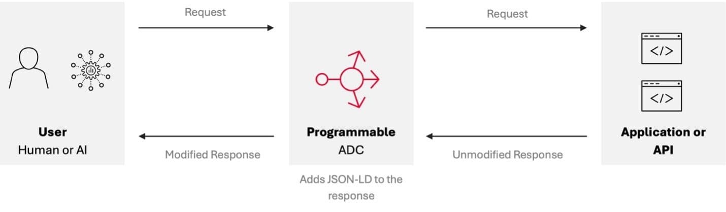 Programmable ADC diagram
