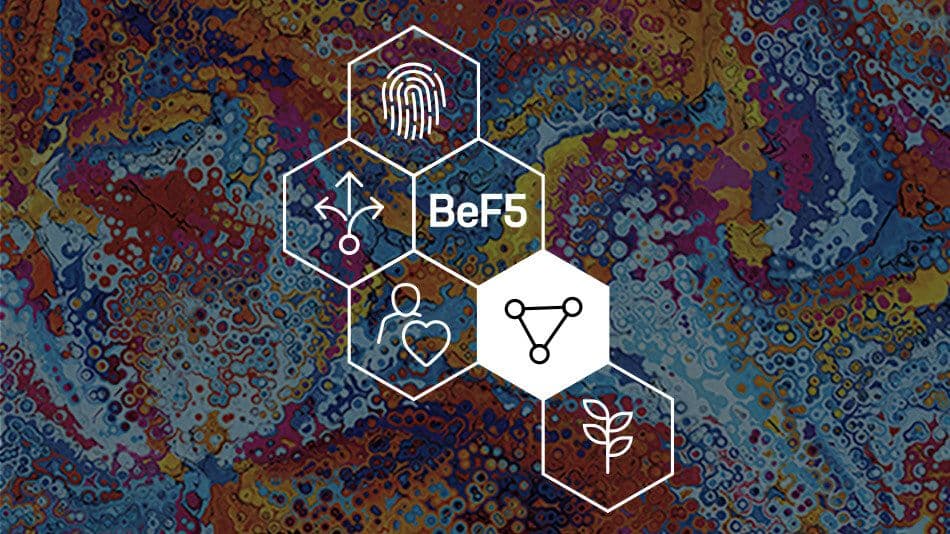 diversity and inclusion